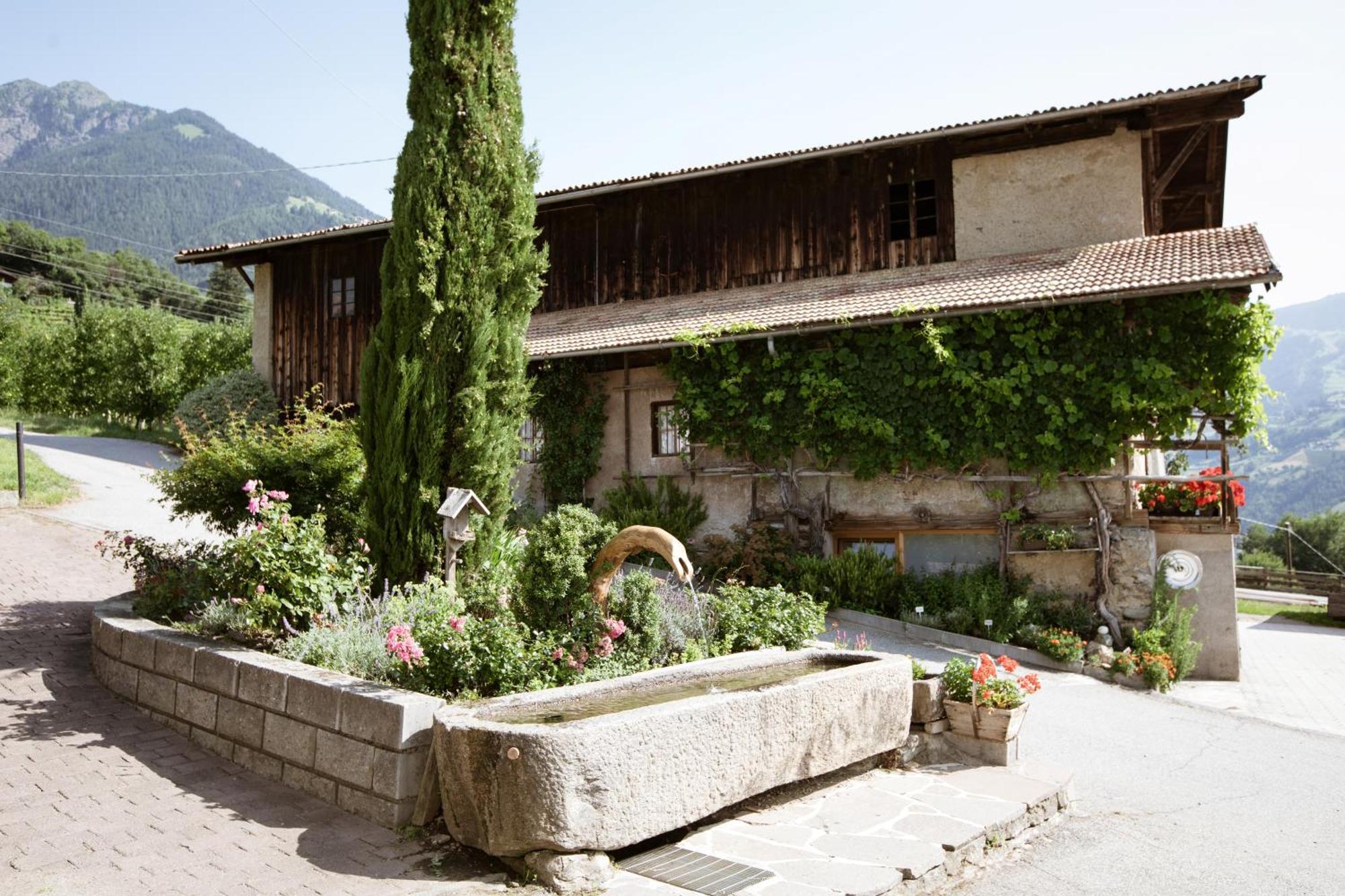 Bed and Breakfast Noessinghof à Tirolo Extérieur photo